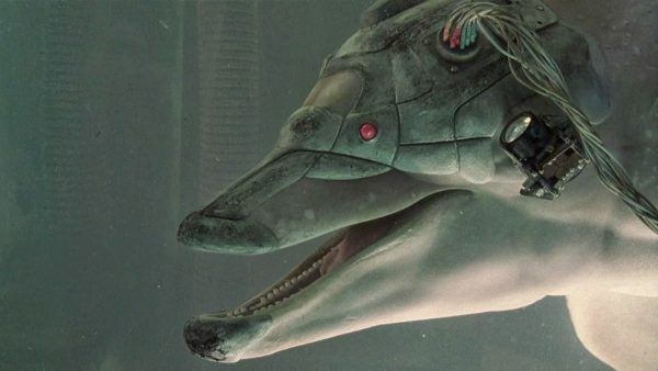 Jones, a cybernetically-enhanced dolphin from the 1996 film Johnny Mnemonic